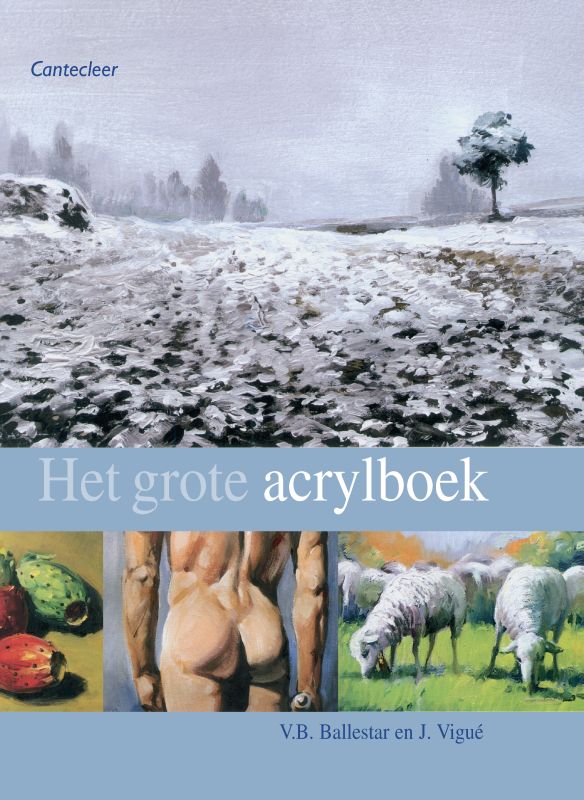 Omslag van Het grote acrylboek