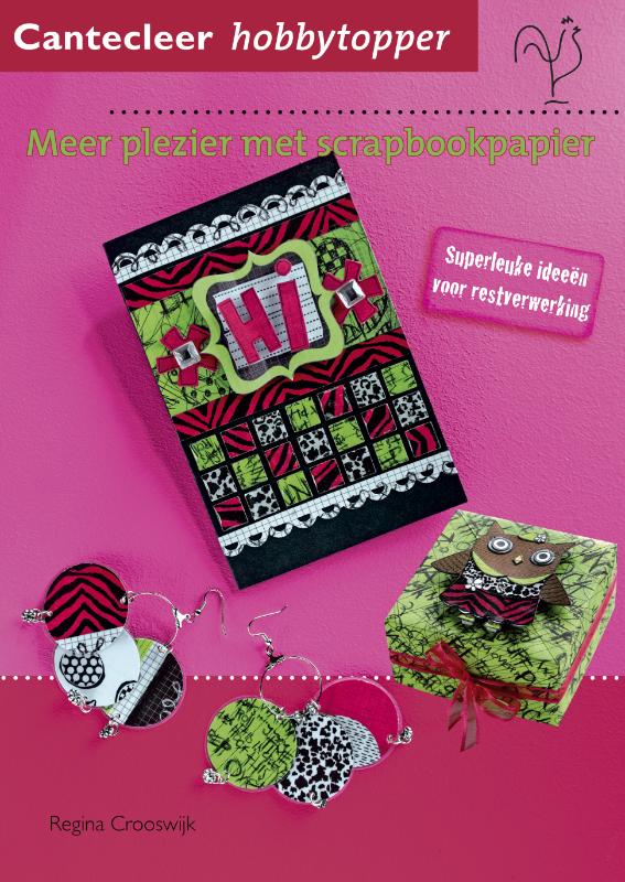 Omslag van Meer plezier met scrapbookpapier