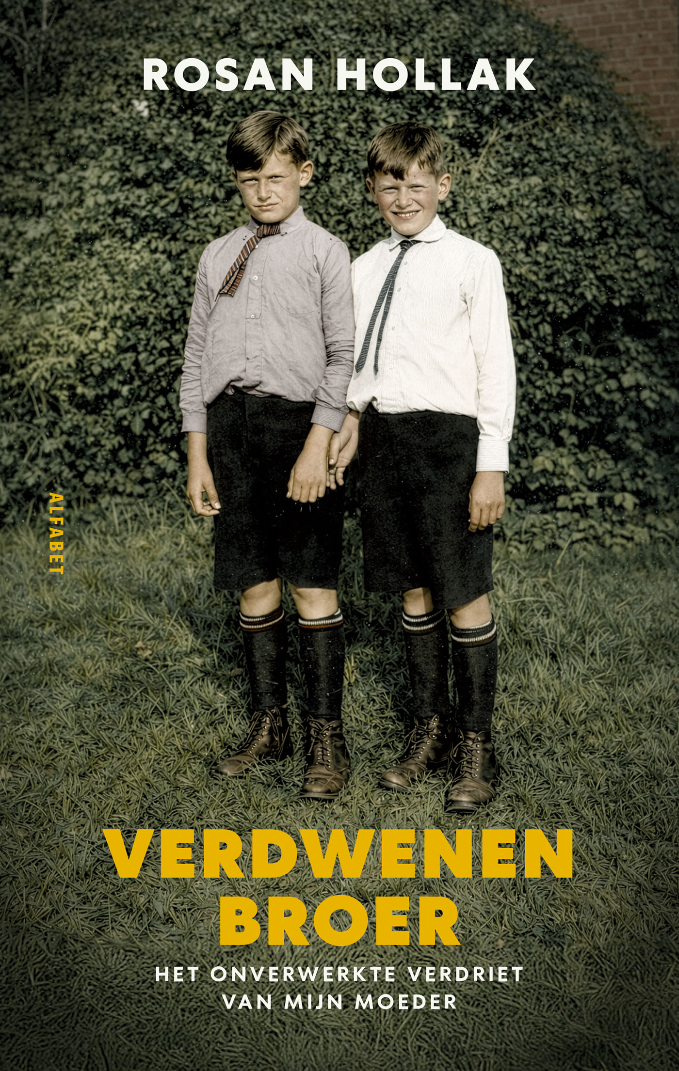Omslag van Verdwenen broer