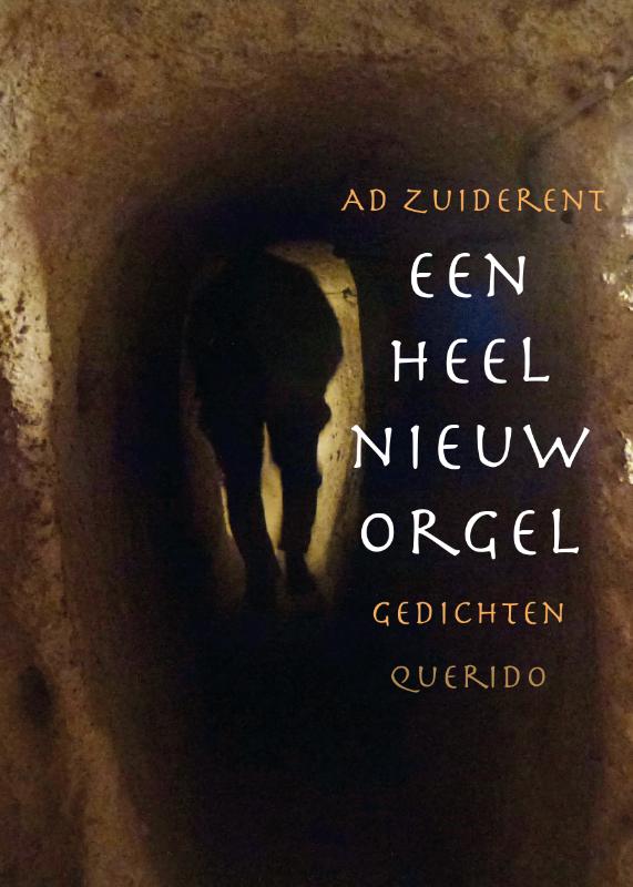 Omslag van Een heel nieuw orgel