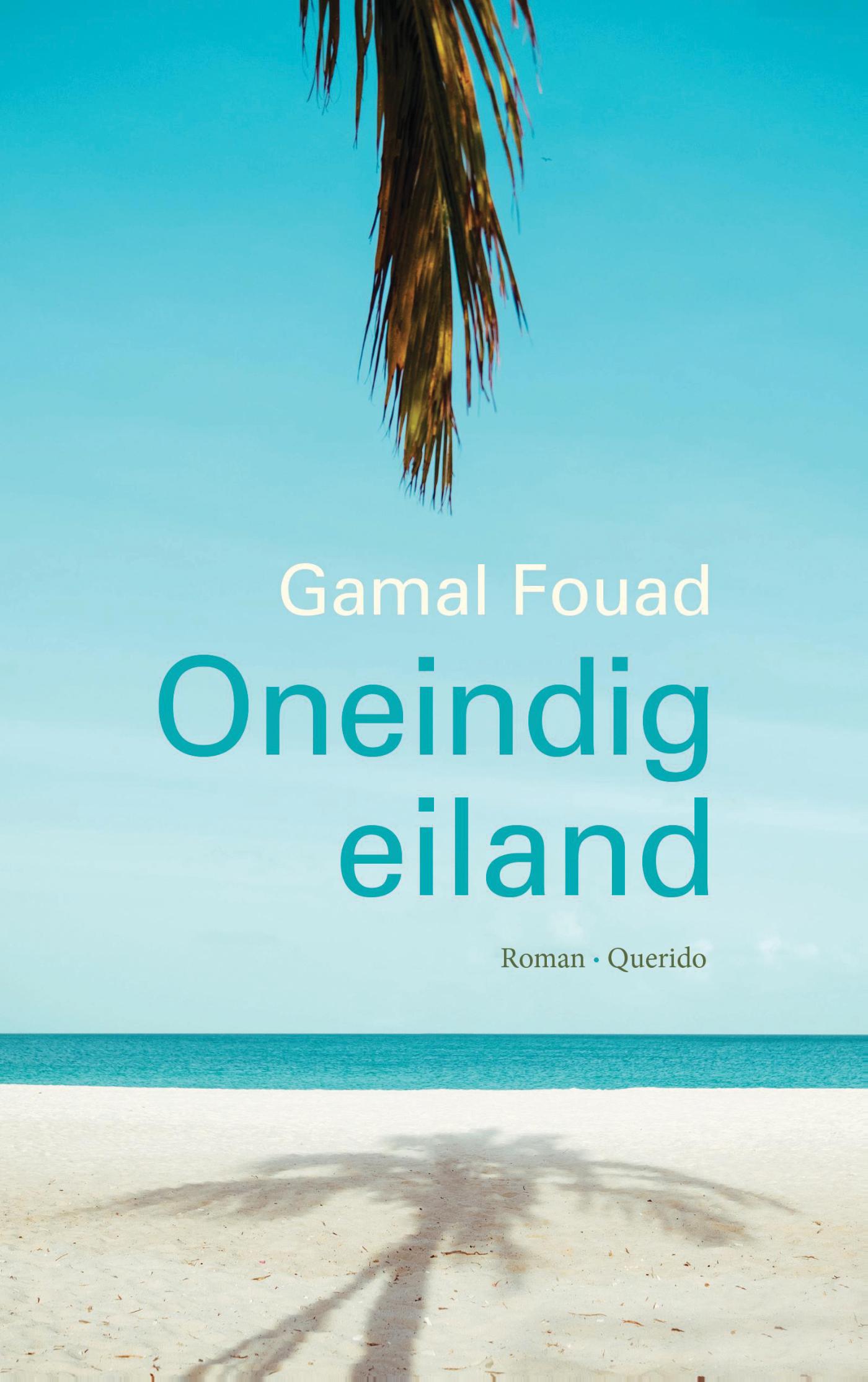 Omslag van Oneindig eiland