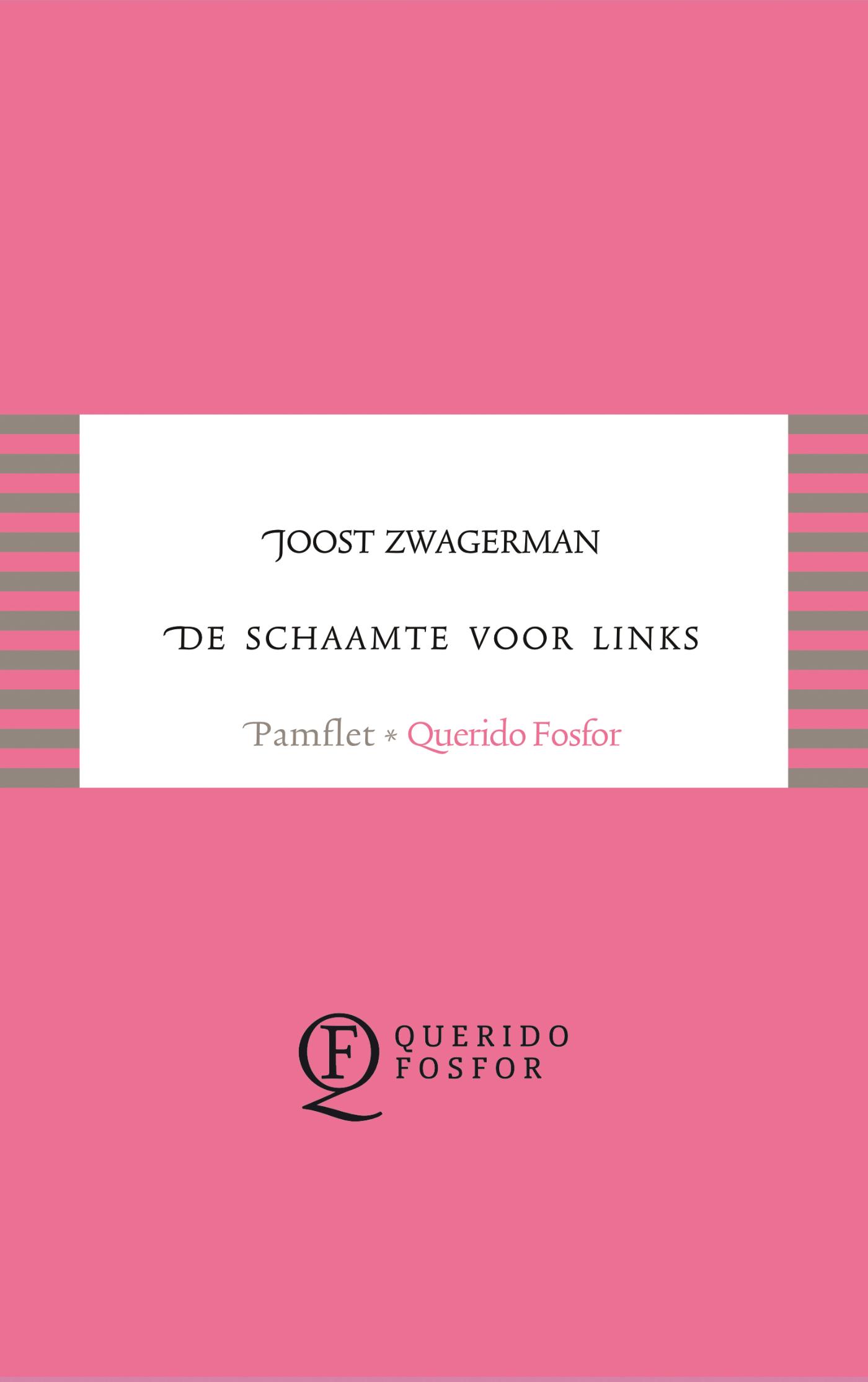Omslag van De schaamte voor links