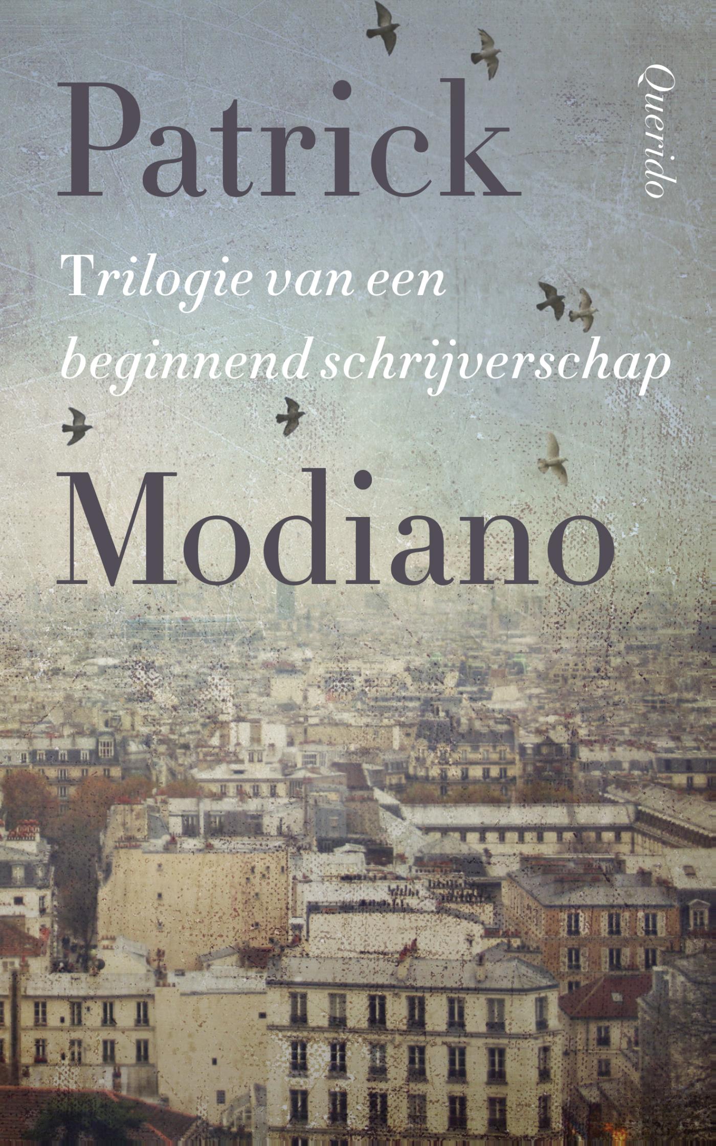 Omslag van Trilogie van een beginnend schrijverschap