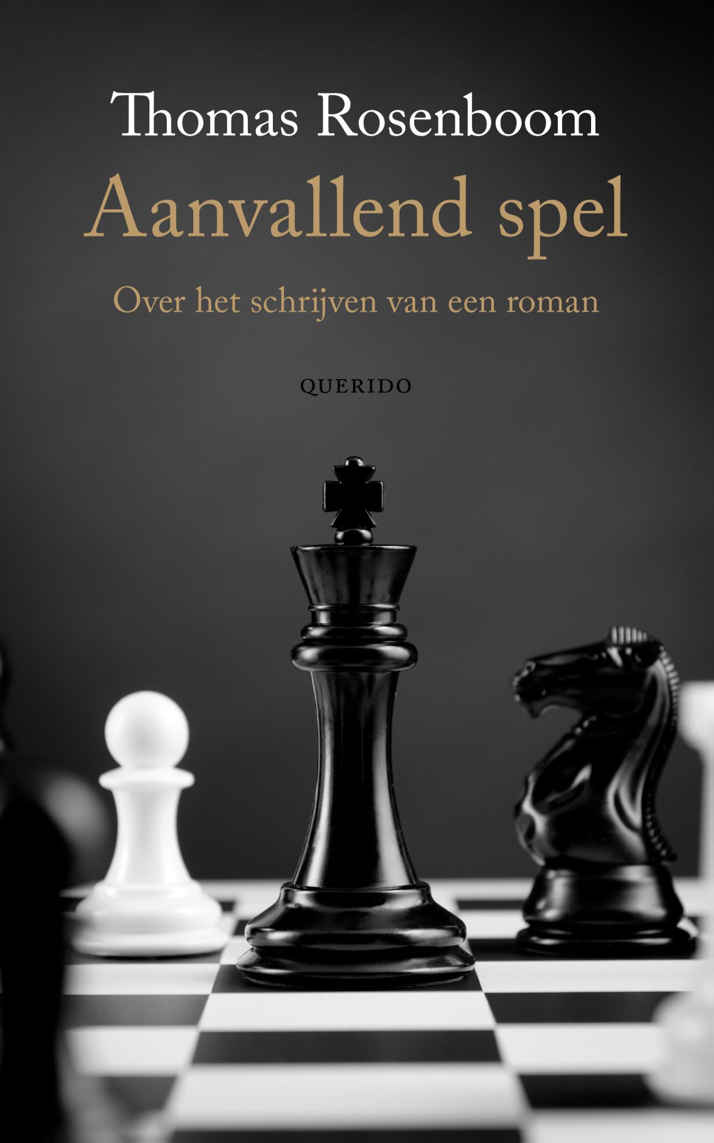 Omslag van Aanvallend spel
