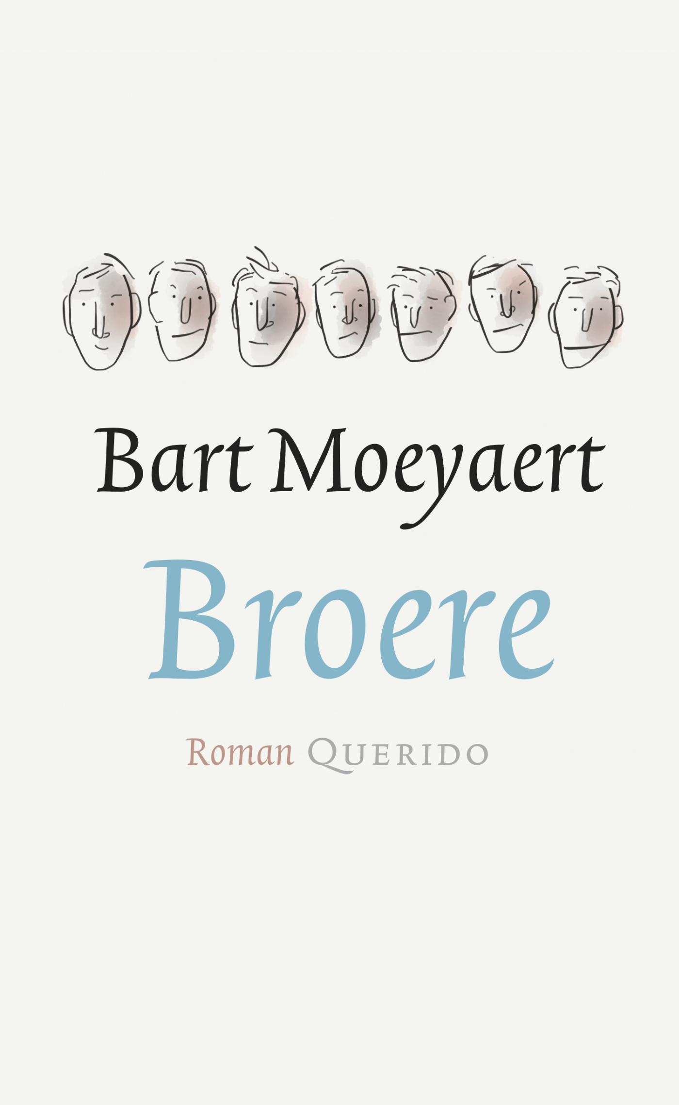 Omslag van Broere