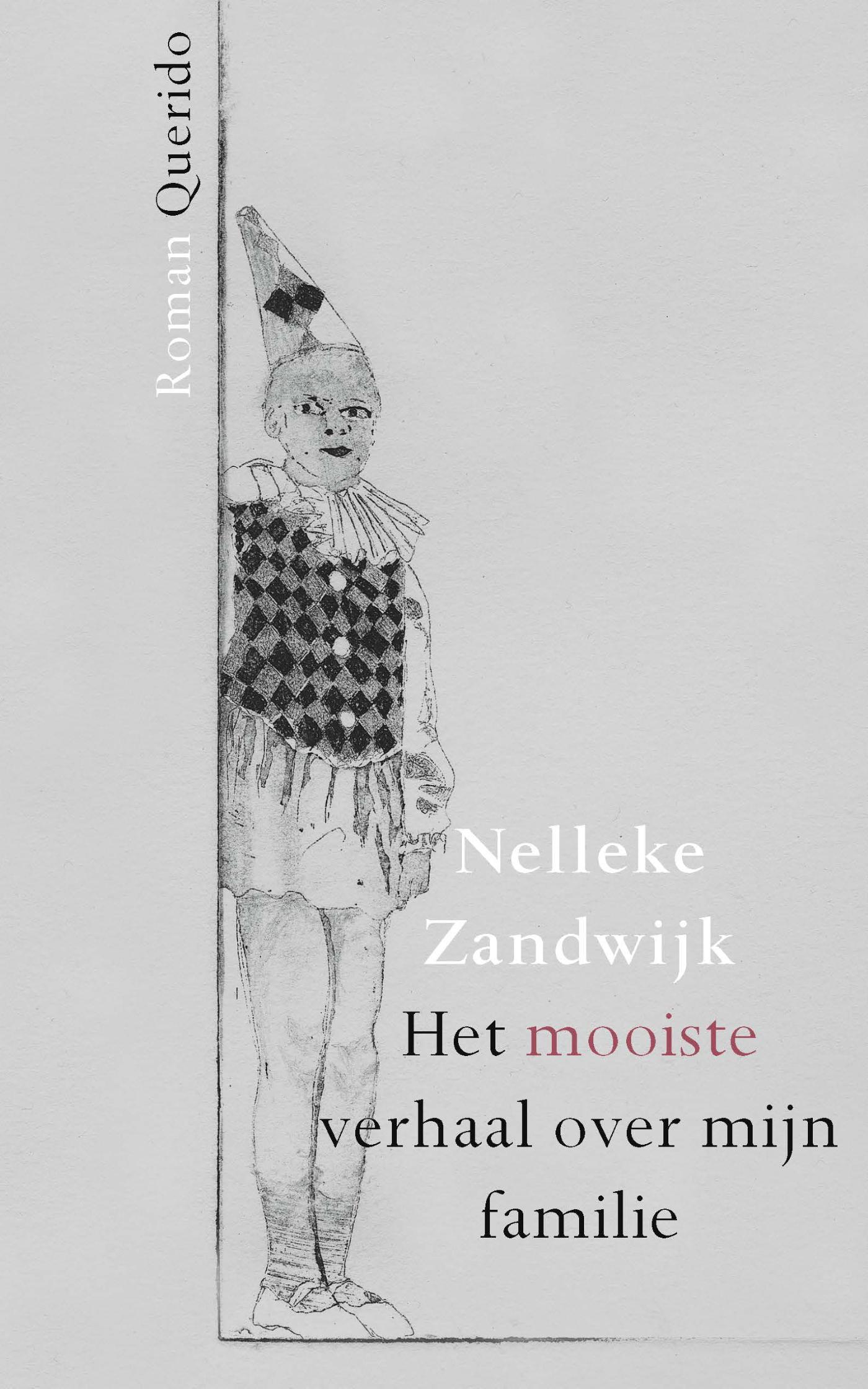 Omslag van Het mooiste verhaal over mijn familie