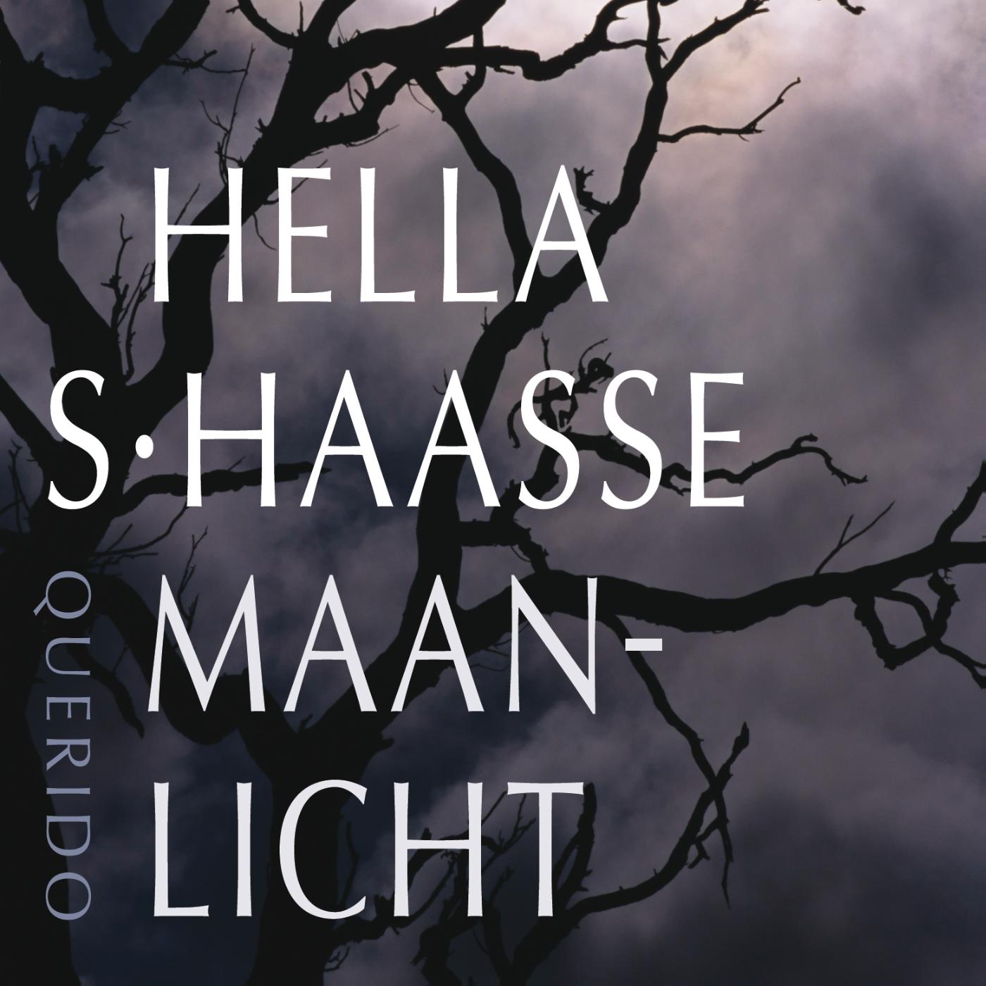 Omslag van Maanlicht