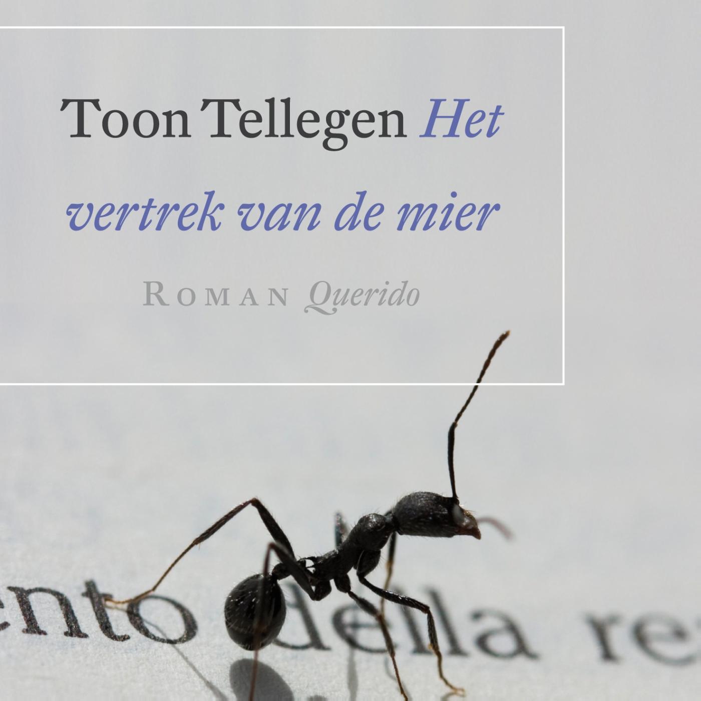Omslag van Het vertrek van de mier