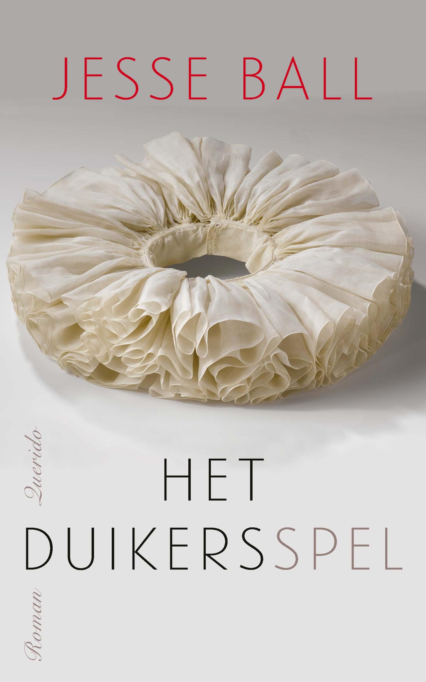 Omslag van Het duikersspel