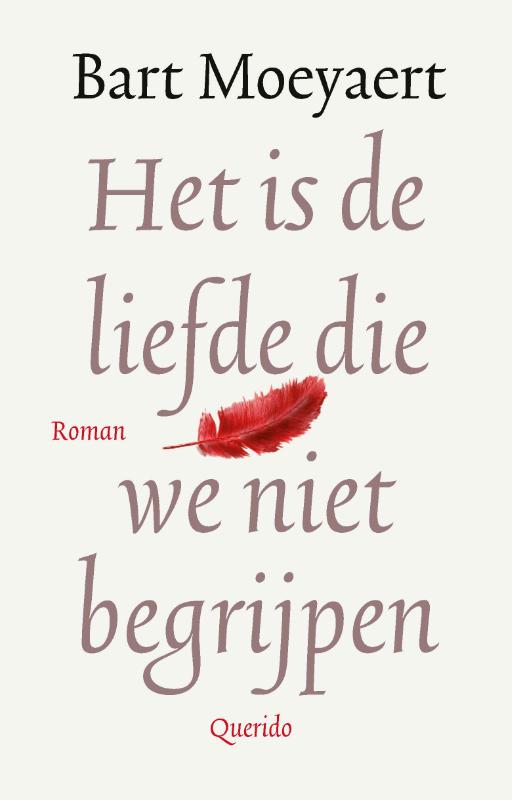 Omslag van Het is de liefde die we niet begrijpen