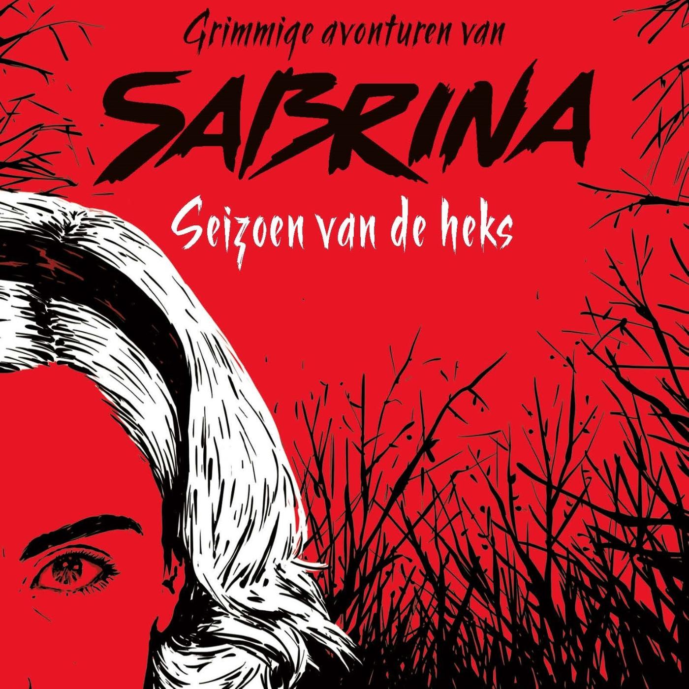 Omslag van Grimmige avonturen van Sabrina