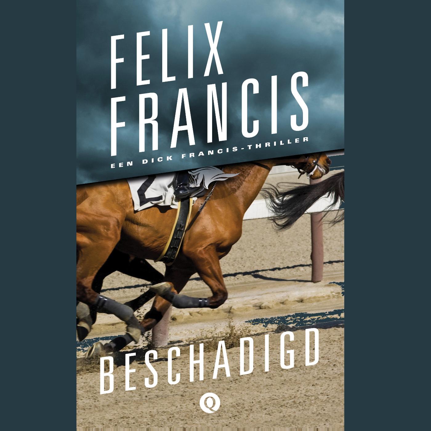 Omslag van Beschadigd