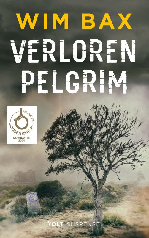 Omslag van Verloren pelgrim