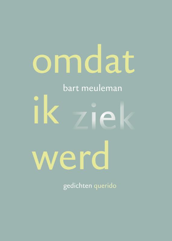 Omslag van Omdat ik ziek werd
