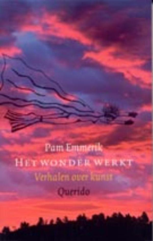 Omslag van Het wonder werkt