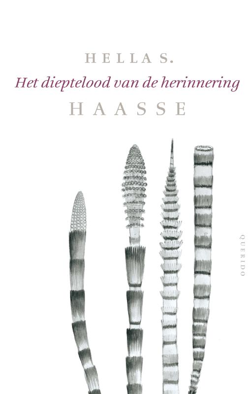 Omslag van Het dieptelood van de herinnering