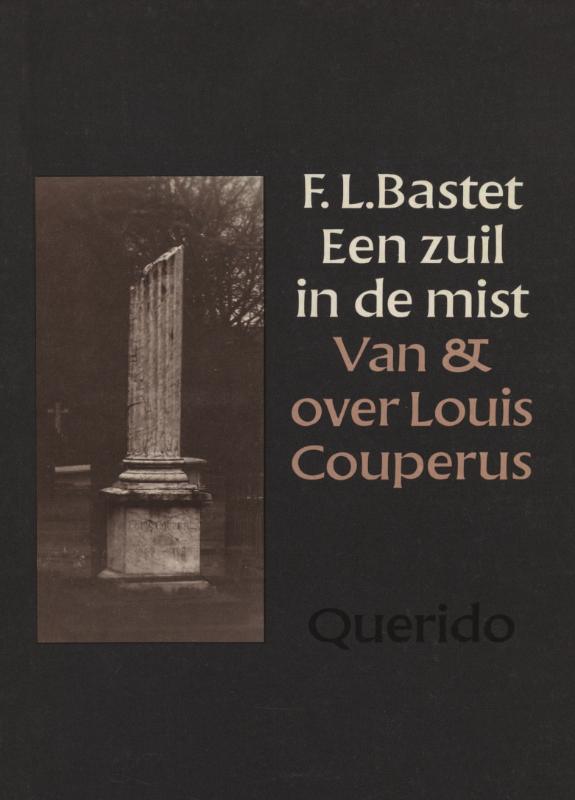 Omslag van Een zuil in de mist