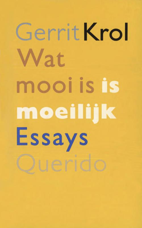 Omslag van Wat mooi is is moeilijk