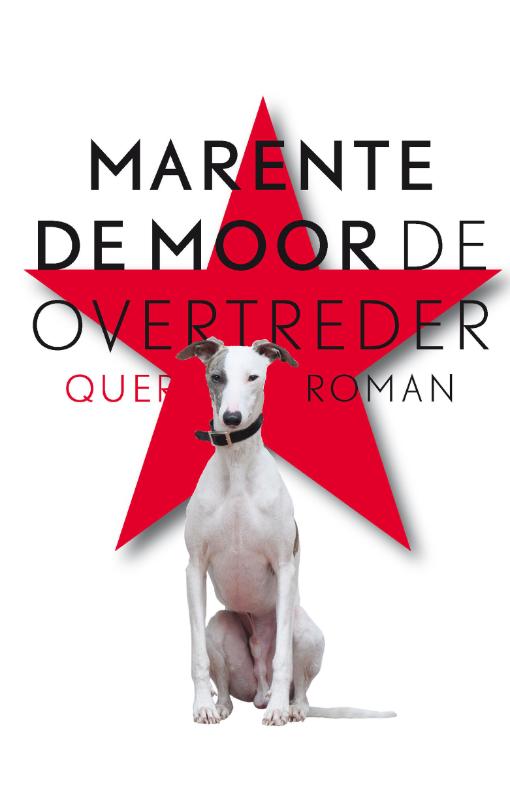 Omslag van De overtreder
