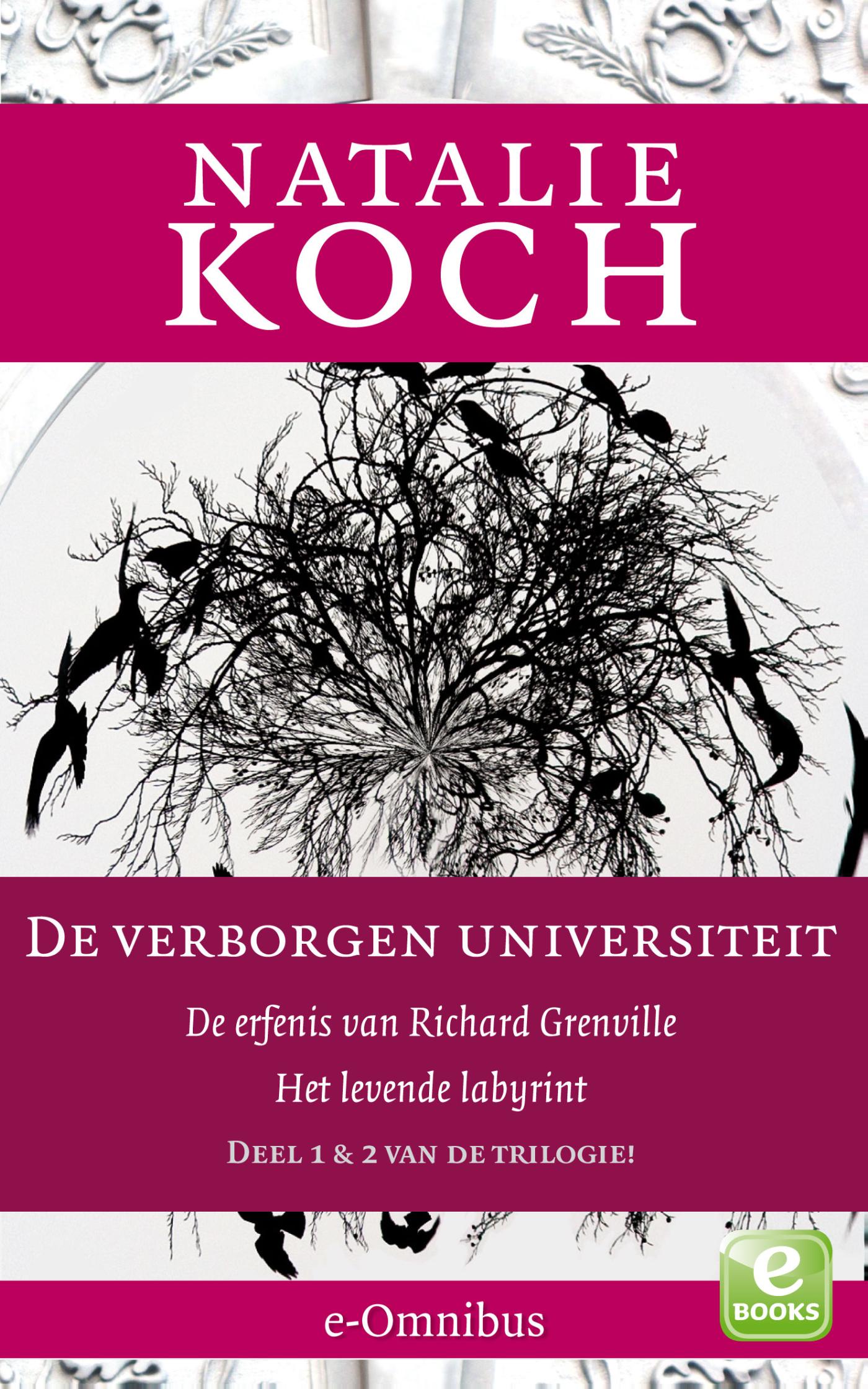 Omslag van De erfenis van Richard Grenville; Het levende labyrint