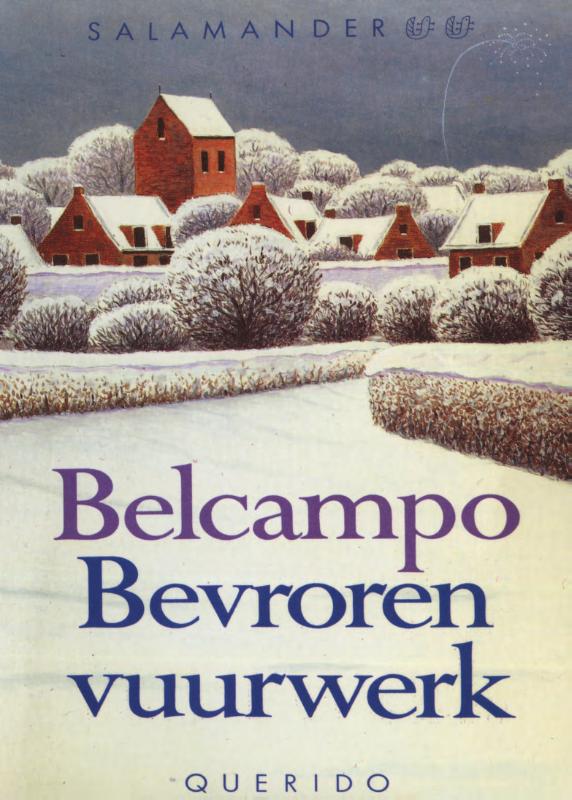 Omslag van Bevroren vuurwerk