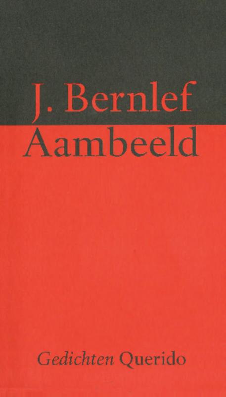 Omslag van Aambeeld