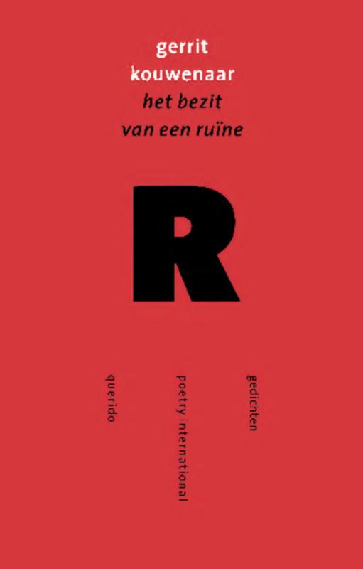Omslag van Het bezit van een ruine
