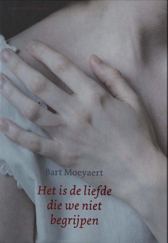 Omslag van Het is de liefde die we niet begrijpen