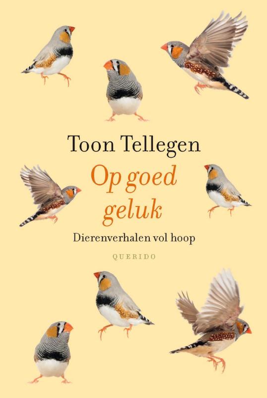 Omslag van Op goed geluk