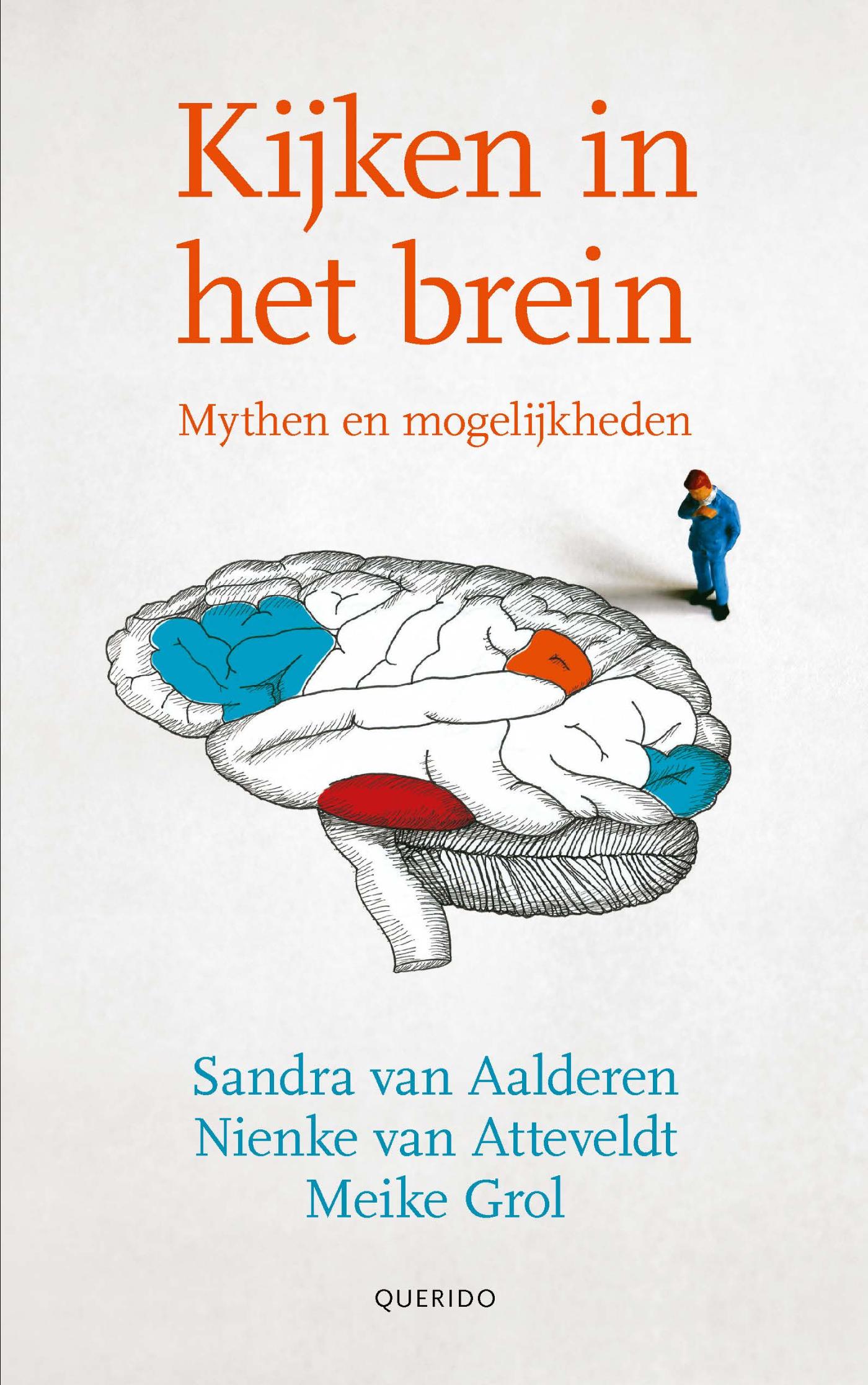 Omslag van Kijken in het brein