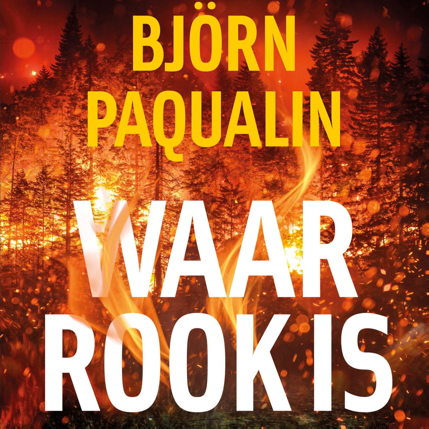 Omslag van Waar rook is