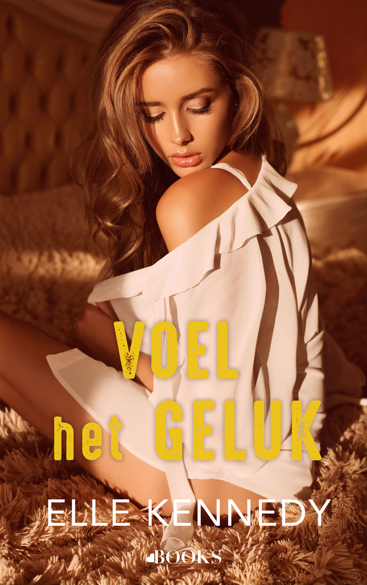Omslag van Voel het geluk