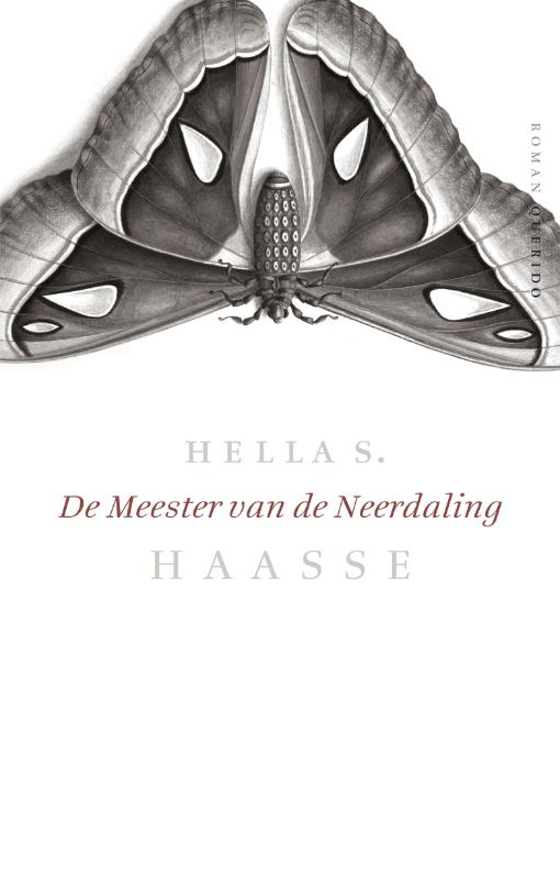 Omslag van De meester van de neerdaling