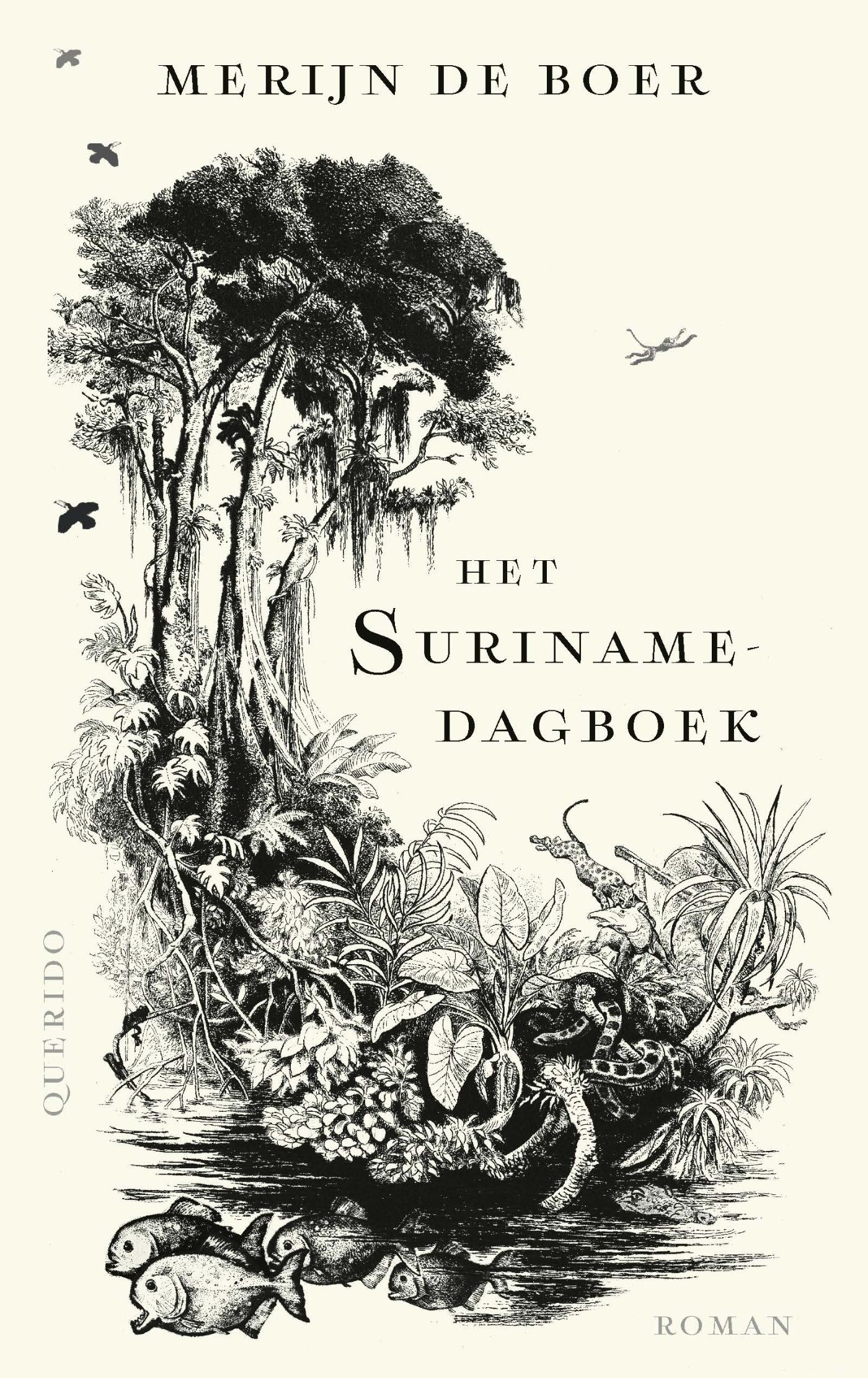 Omslag van Het Surinamedagboek