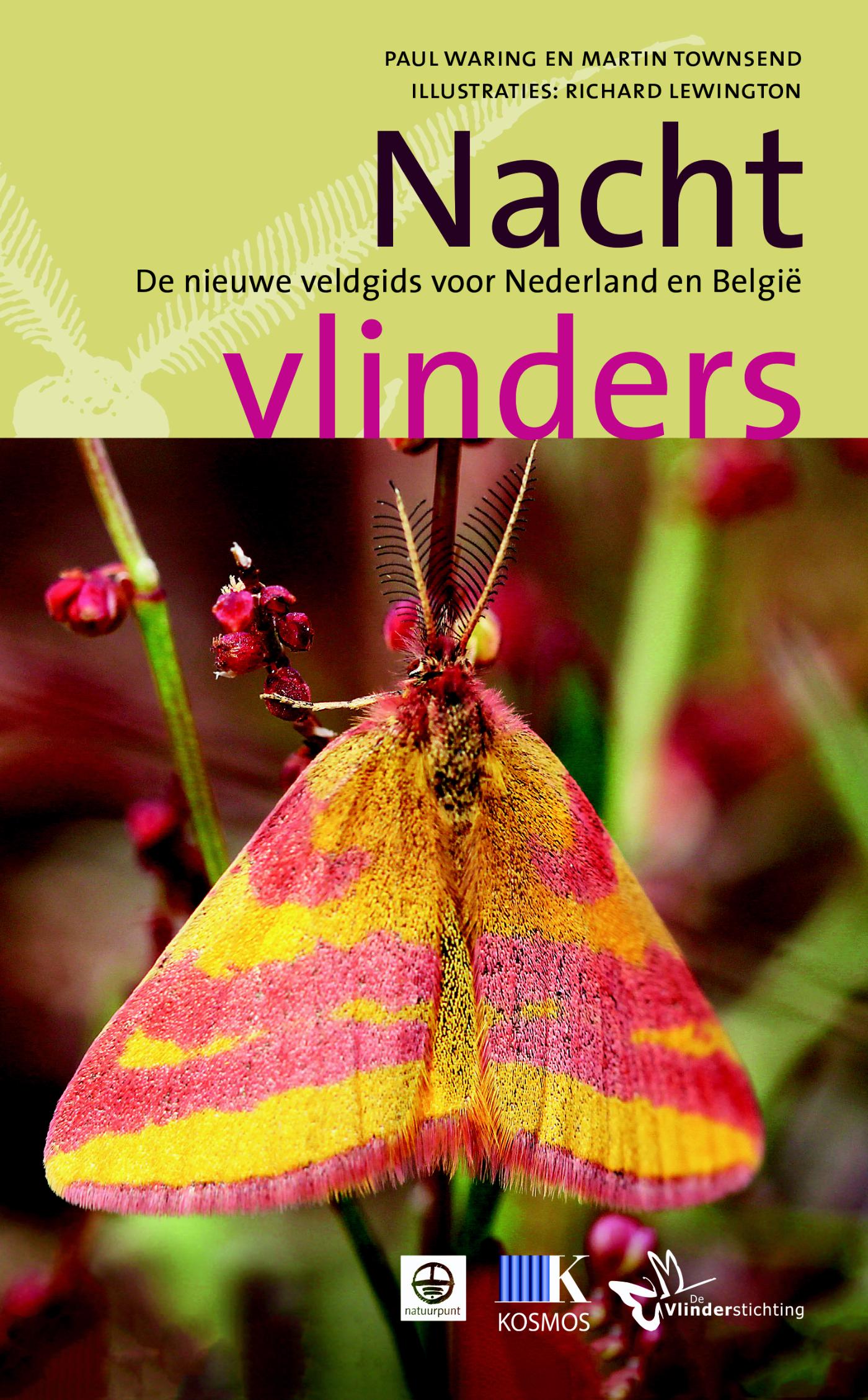 Omslag van Nachtvlinders