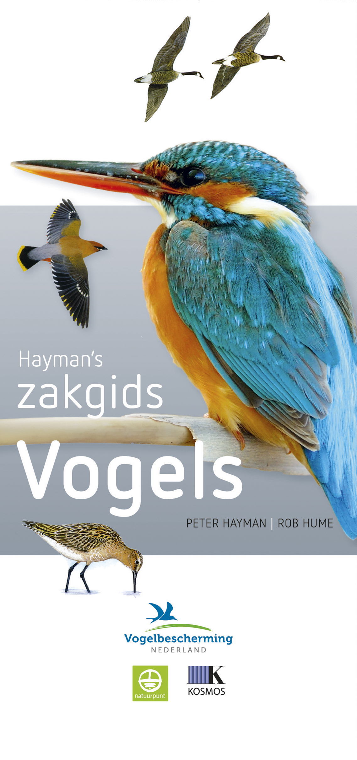Omslag van Vogels