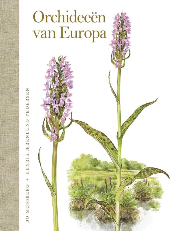 Omslag van Orchideeën van Europa