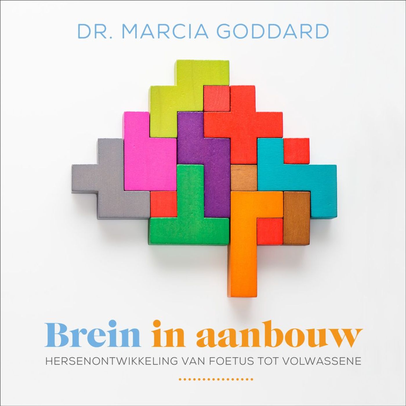 Omslag van Brein in aanbouw