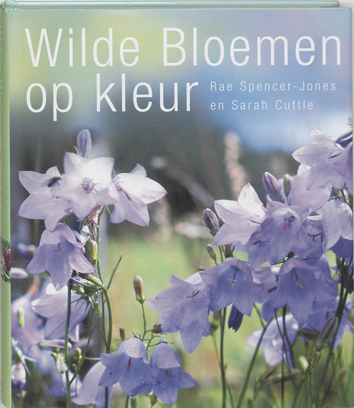 Omslag van Wilde bloemen op kleur