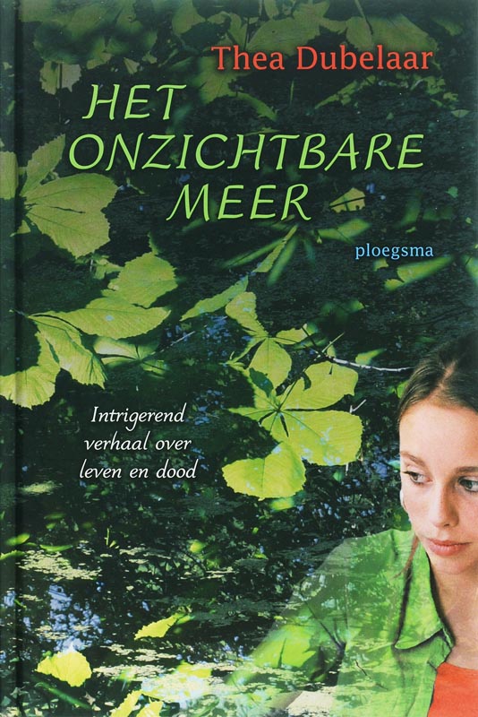 Omslag van Het onzichtbare meer