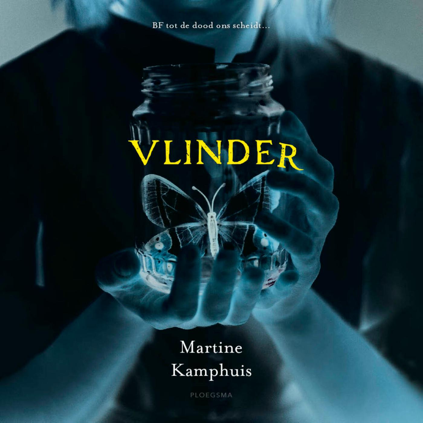 Omslag van Vlinder