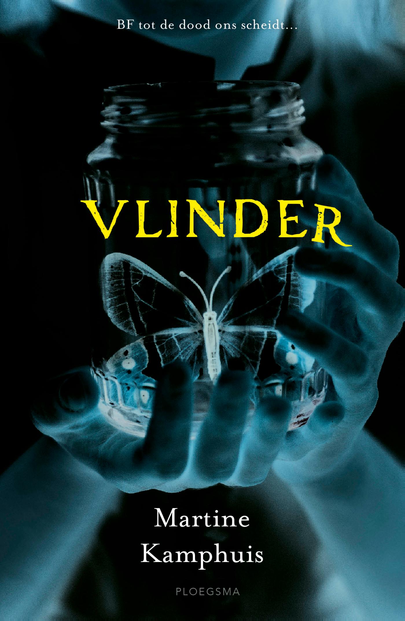 Omslag van Vlinder