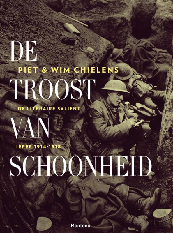 Omslag van De troost van schoonheid