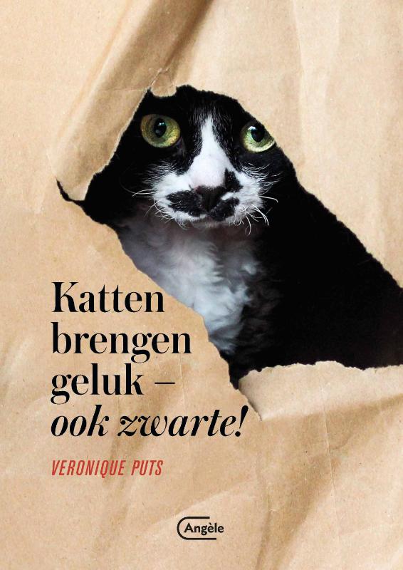 Omslag van Katten brengen geluk - ook zwarte!