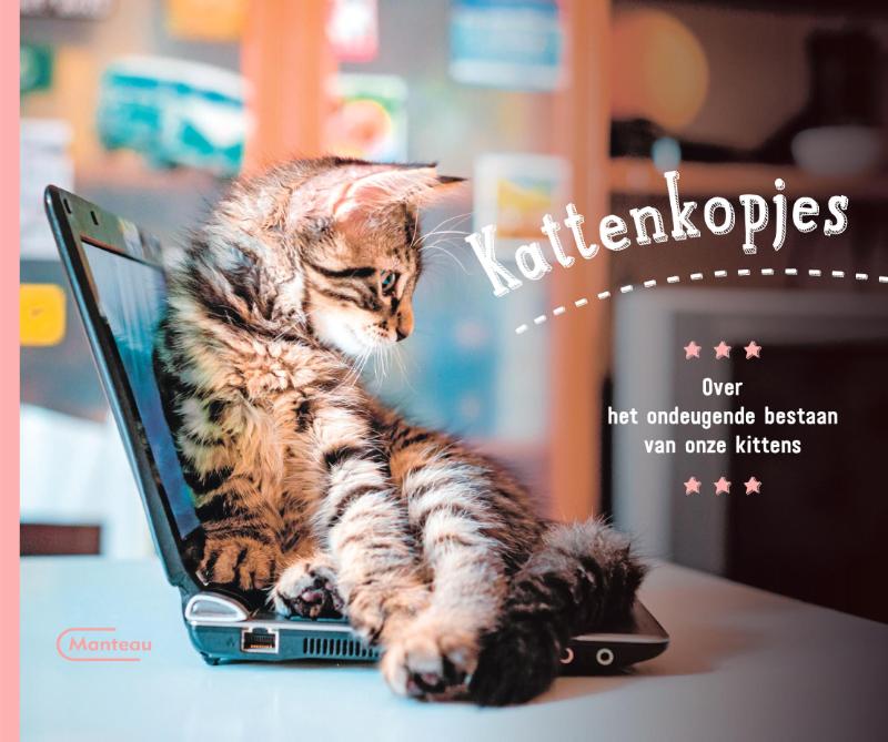 Omslag van Kattenkopjes