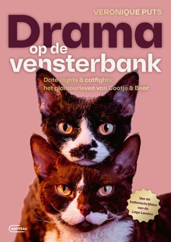 Omslag van Drama op de vensterbank