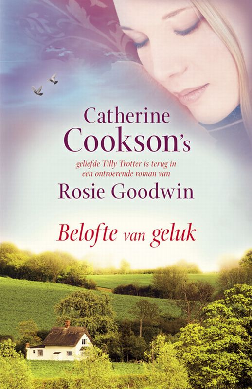 Omslag van Belofte van geluk