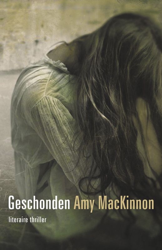 Omslag van Geschonden