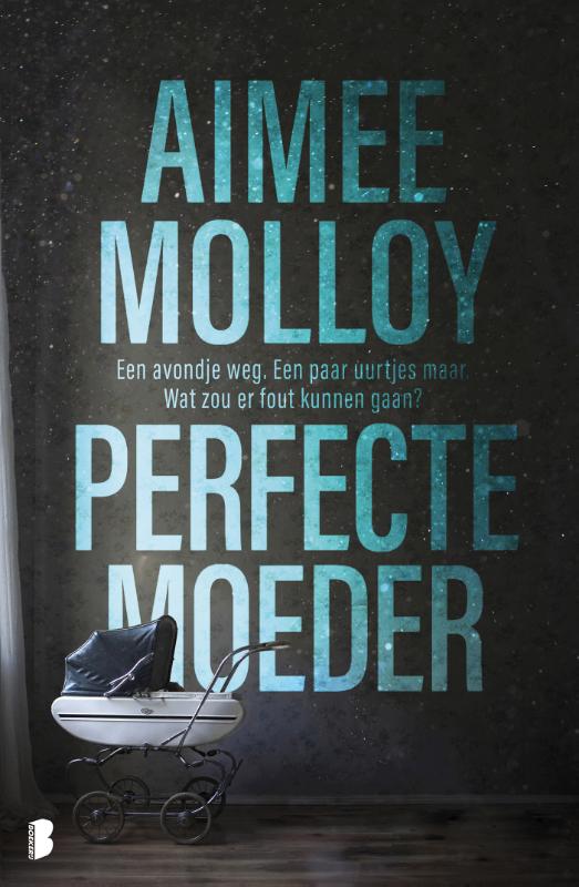 Omslag van Perfecte moeder