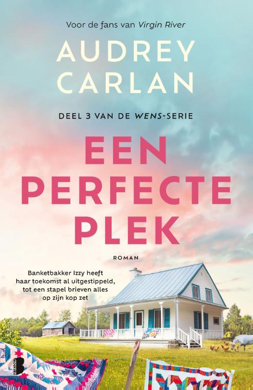 Omslag van Een perfecte plek